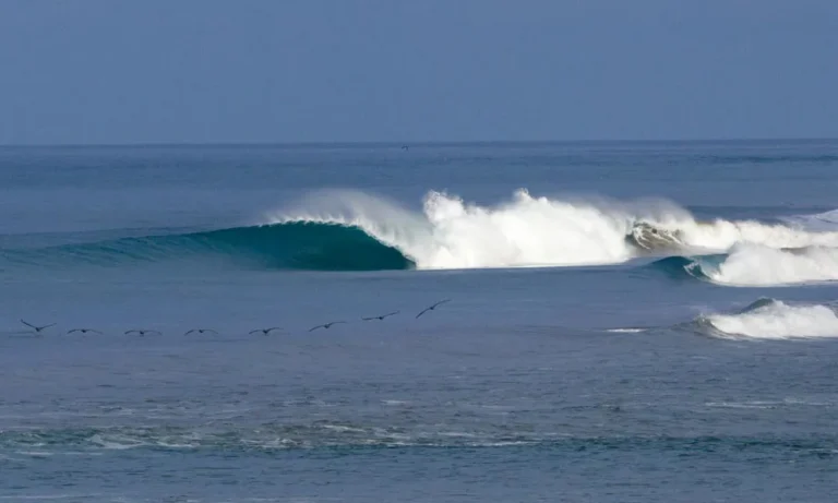 ecuador surfing trip right pointbreak manta