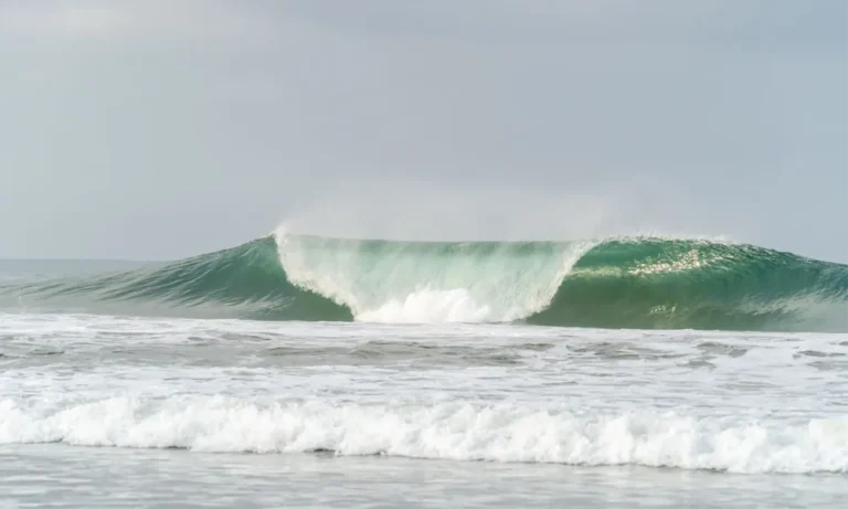 surfing ecuador guided trip manta